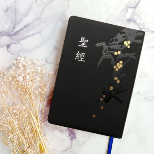 聖經(和合本標點.小型.紅字.皮面金邊.燙金壓紋.黑) SR57AT1.101 封面