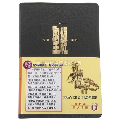 聖經(祈禱應許本.特大字版.索引.皮面.黑) 封面