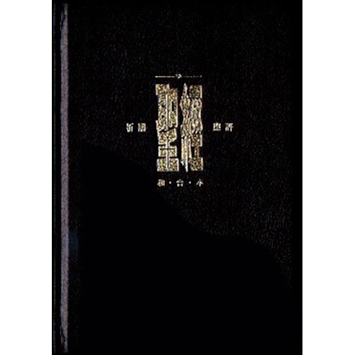 聖經(祈禱應許本.標準本.精裝)(黑) CAT1990 封面