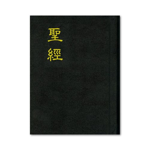 聖經(浸.神.小型) 封面