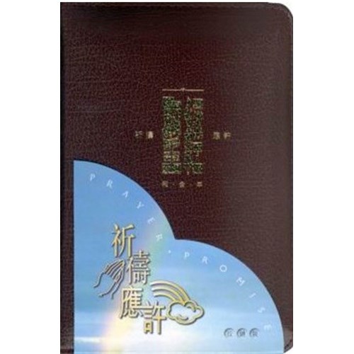 聖經 (祈禱應許本.索引.拉鍊)(紅) 封面