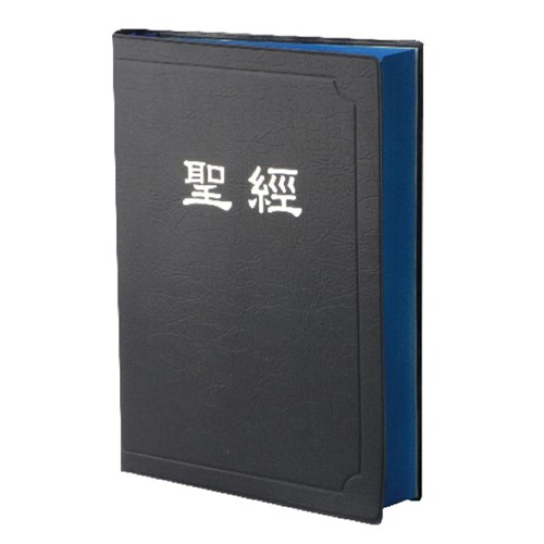 聖經 (新標點.橫排.中型.串珠.膠皮.上帝版.藍)CUNPCS072BU 封面