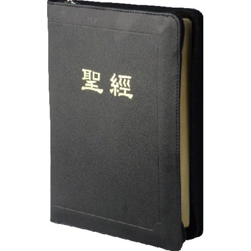 聖經 (新標點.大字.橫排.神版.拉鍊.索引.皮面.)CUNPCS87AZTIFIB 封面