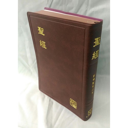 聖經(新標點.中型.軟皮.上帝版.咖啡) CUNP62BR 封面