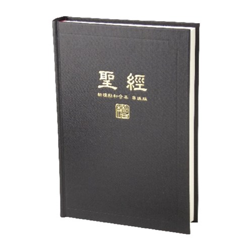 聖經(新標點.大型.橫排.串珠.漆布.上帝版) CUNPCS073 封面