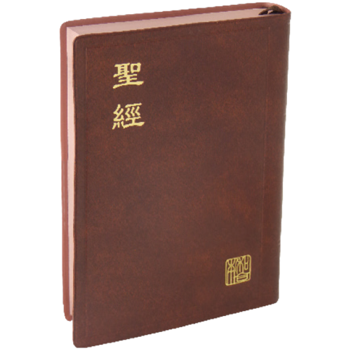 聖經(新標點.小型.膠皮.上帝版.咖啡) CUNP52BR 封面