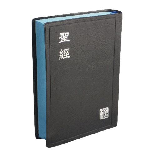 聖經(新標點.小型.膠皮.神版.藍) CUNP52ABU 封面