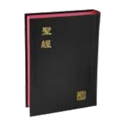 聖經(新標點.小型.神版) CUNP53A 封面