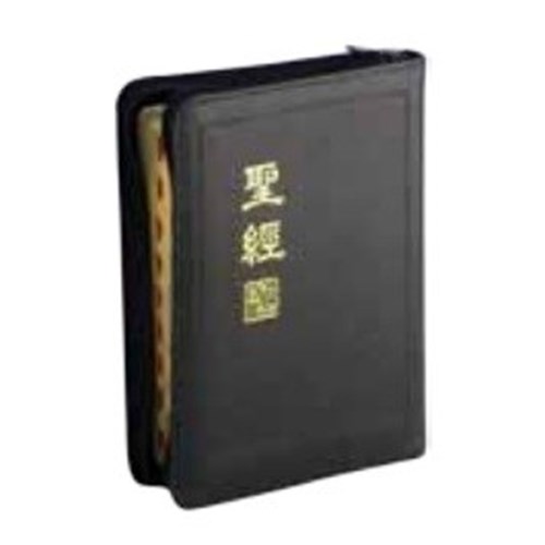 聖經(新標點.小型.拉鍊.索引. 上帝版) CUNP57ZTI 封面