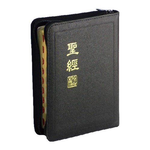 聖經(新標點.小型.拉鍊.索引.神版) CUNP57AZTI 封面