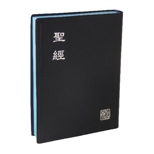 聖經(新標點.中型.膠皮.神版) CUNP62ABU 封面