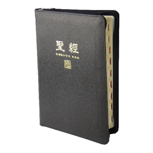 聖經(新標點.大型.橫排.串珠.拉鍊.索引.神版) CUNPCS077AZTI 封面