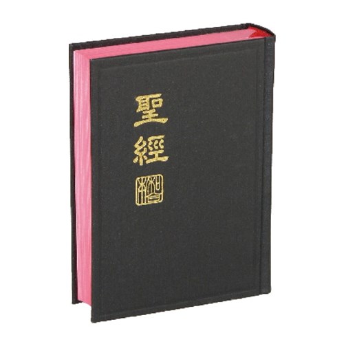 聖經(新標點.小型.上帝版) CUNP53 封面