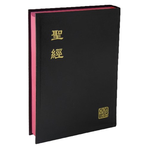 聖經(新標點.中型.神版) CUNP63A 封面