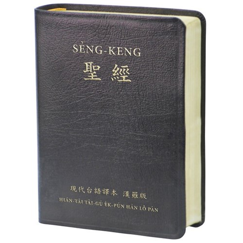 聖經(現代台語譯本漢羅版.皮面.金邊.黑) TTV67DI 封面