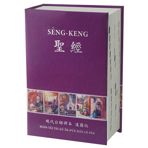 聖經(現代台語譯本漢羅版.精裝.白邊.彩色)TTV63DICR 封面