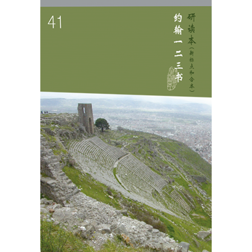 和合本聖經研讀本41(新標點．簡體)--約翰一二三書 封面