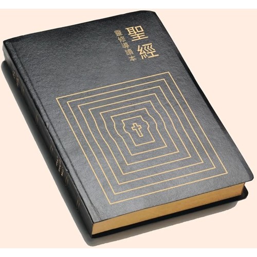聖經(靈修導讀本.和合本.黑) 封面