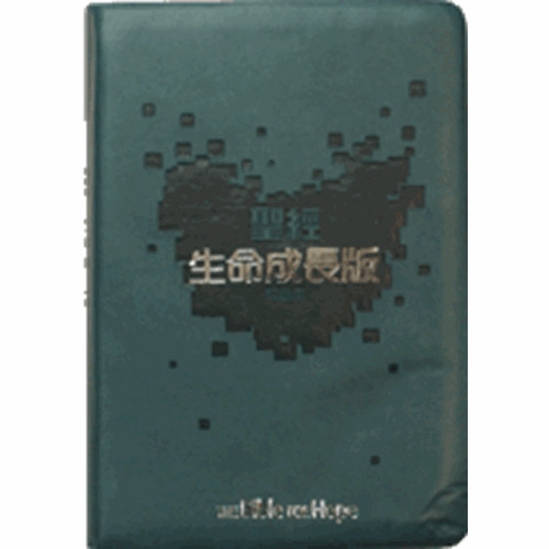 聖經--生命成長版(和合本)(皮面) 封面