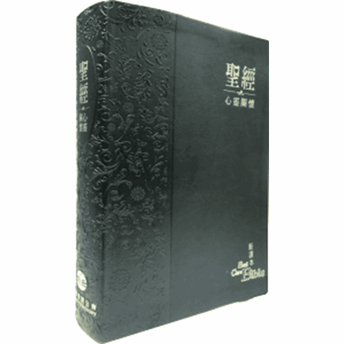 聖經(新譯本.心靈關懷.仿皮金邊.黑) 封面