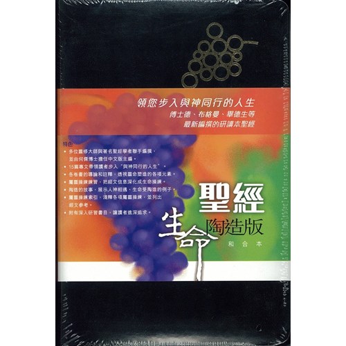 聖經(生命陶造版)(皮面) 封面