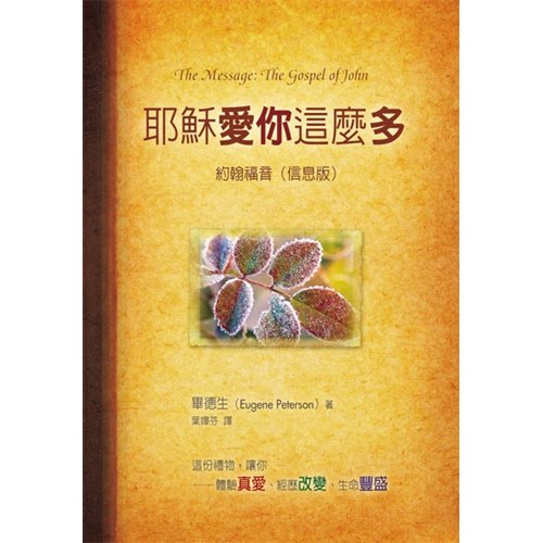 耶穌愛你這麼多--約翰福音信息版 封面