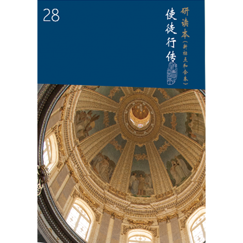 和合本聖經研讀本28(新標點．簡體)--使徒行傳 封面