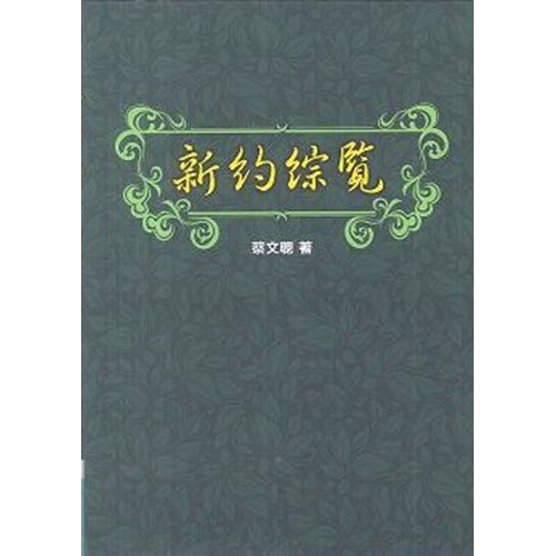 新約綜覽 封面