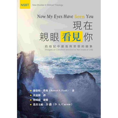 現在親眼看見你：約伯記中創造與邪惡的喻象 封面