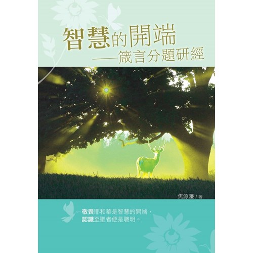 智慧的開端 封面