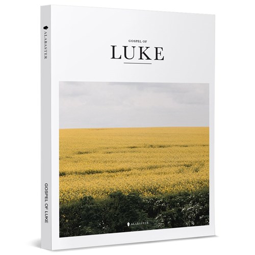 美感聖經：ALABASTER Gospel of Luke ( NLT ） 封面