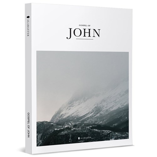 美感聖經：ALABASTER Gospel of John ( NLT) 封面