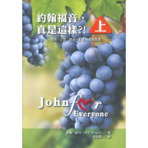 約翰福音．真是這樣?!(上) 封面