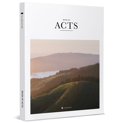 美感聖經：ALABASTER BOOK OF ACTS ( NLT ) 封面