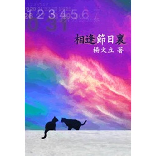 相逢節日裏 封面