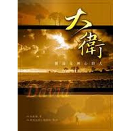 大衛--一個滿足神心的人 封面