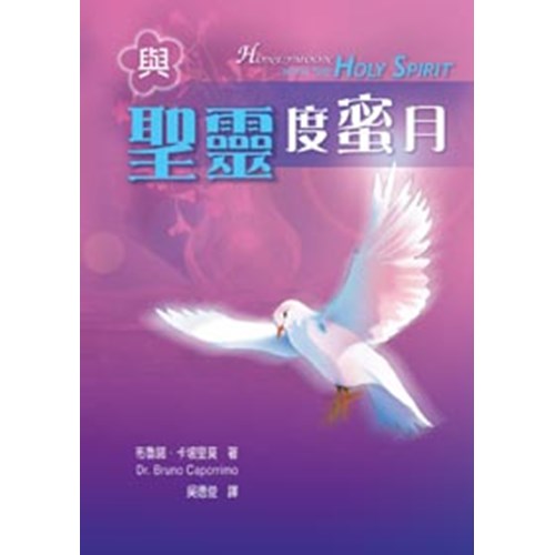 與聖靈度蜜月(平) 封面