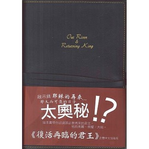 復活再臨的君王 封面