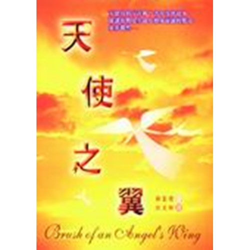 天使之翼 封面