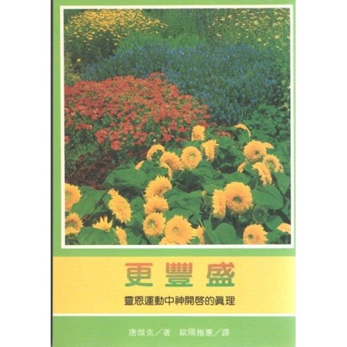更豐盛-靈恩運動中神開啟的真理 封面