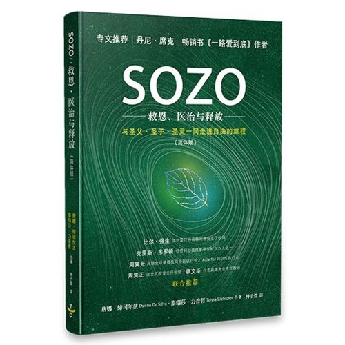 SOZO：救恩、醫治與釋放(簡體版) 封面