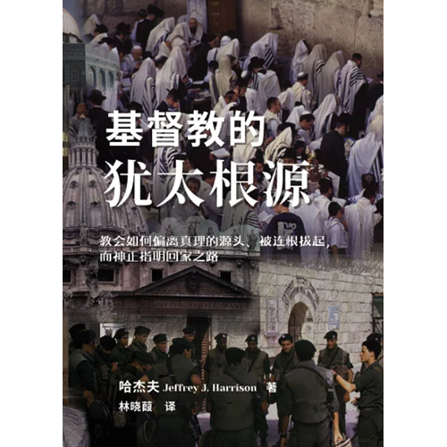基督教的犹太根源 : 教会如何偏离真理的源头、被连根拔起 封面