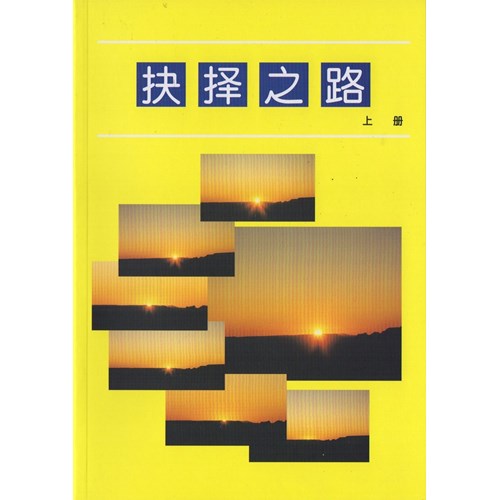 抉擇之路(上冊)(簡體版) 封面