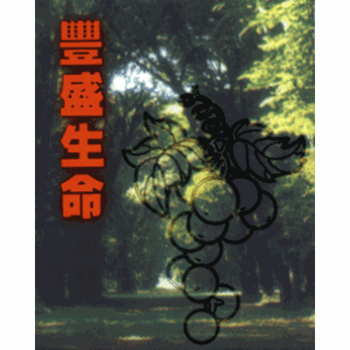 豐盛生命(初信栽培) (更新版) 封面