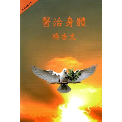 醫治身體禱告文(天上法庭系列) 封面