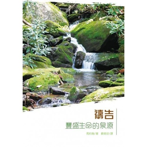 禱告:豐盛生命的泉源 封面