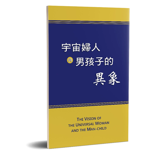 宇宙婦人與男孩子的異象 封面