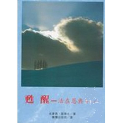甦醒--活在恩典中(下) 封面
