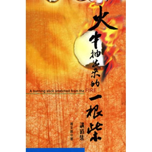 火中抽出來的一根柴 封面