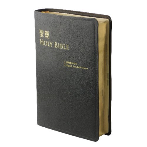 中英聖經(新標點/ESV.大型.皮面.金邊.黑)ESV/CUNP67DIG 封面